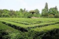 /album/giardino-di-valsanzibio/images-21-jpg1/